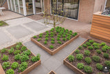 Grote tuin met moestuin-Kamsteeg Tuinen-alle,Tuinen-OBLY